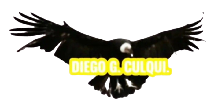 diegogculquibusiness.com
